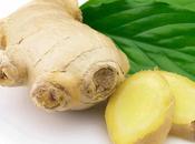 Amazing Health Benefits Nutritional Information Herb Ginger