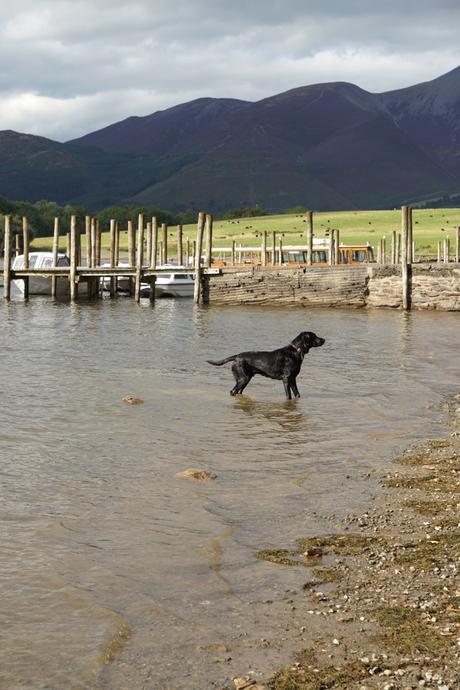 Keswick Derwentwater Hello Freckles Lake District