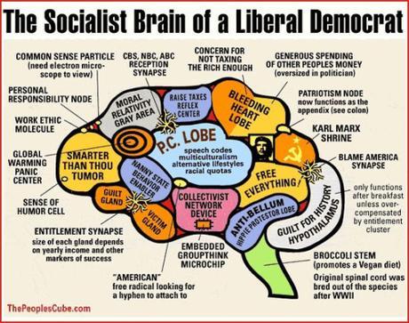 liberal brain