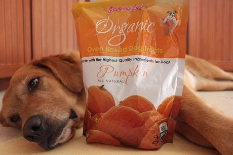 Grandma Lucy's Organic Pumpkin Dog Treats
