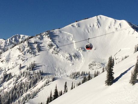 A ten foot crown on Powder Bowl at Crystal Mountain, 2014