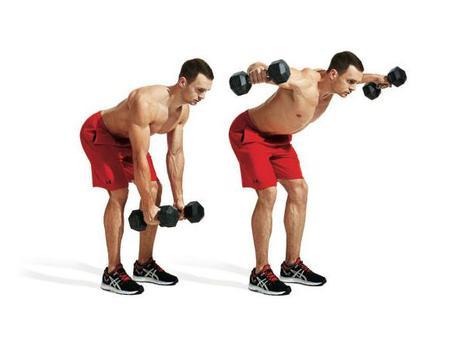 Dumbbell Exercises