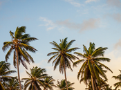 Tips Travelling South East Asia