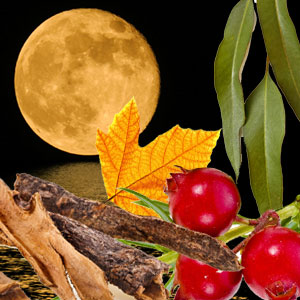 Harvest Moon Fragrance