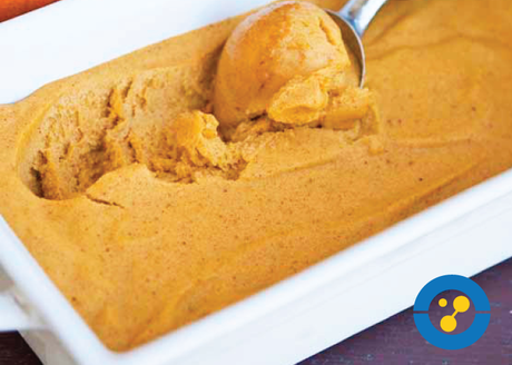 Recipe: Dairy-free Pumpkin Ice Cream