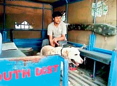 disobedience of dog saves ~Somnath Bharti gets reprieve !