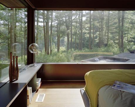 Rooms With A Forest View