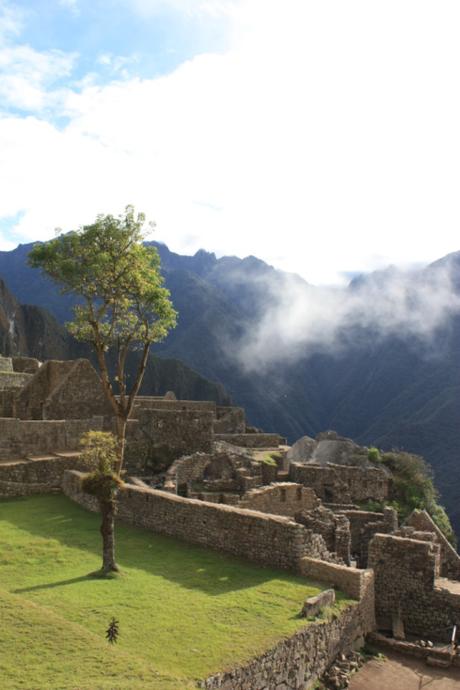 Taken in July of 2010 at Machu Picchu.