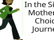 Single Mother Choice Journey, Part Colaboration Questions