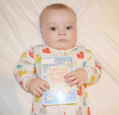 Noah at 6 Months Old