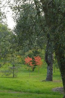 The Garden Museum Literary Festival at Hatfield House