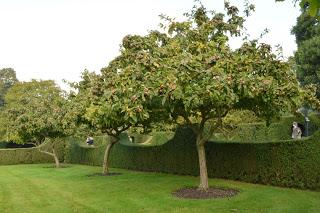 The Garden Museum Literary Festival at Hatfield House