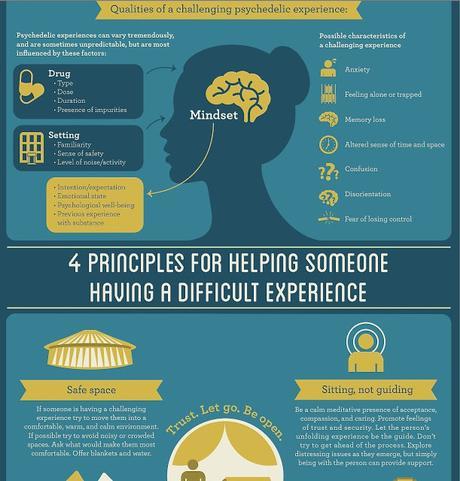 The Zendo Project