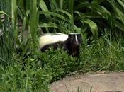 Mammals Coldwater Farm