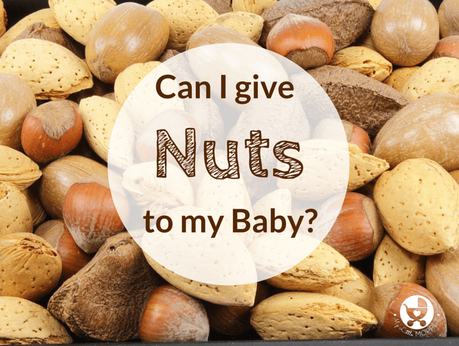Can i Give my Baby Nuts?