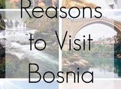 Reasons Visit Bosnia Serbia