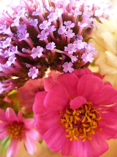 Perfect Cut flowers for a posy