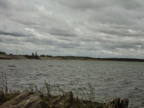 99) Markonahalli Dam: (31/8/2014)