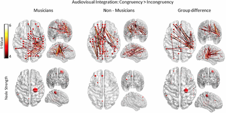 Musical expertise changes the brain's functional connectivity during audiovisual integration