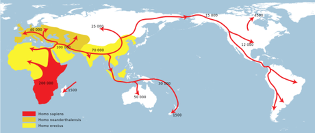 Ancient DNA reveals the IN to Africa migration