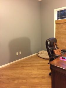 Our Net Zero Home Part Two – Home Renos At Work Office (After)