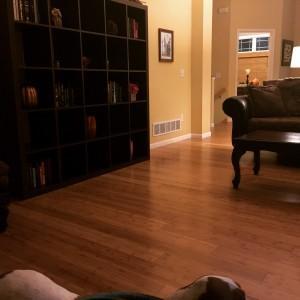 Our Net Zero Home Part Two – Home Renos At Work Living Room (After)