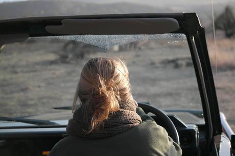 My experience on a game drive in South Africa