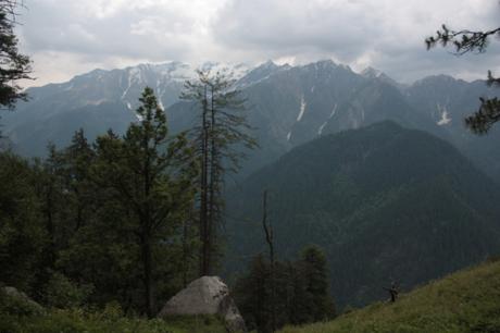 Taken in July of 2015 at Great Himalayan National Park (GHNP)