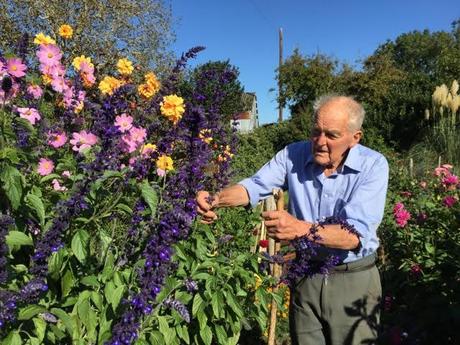 man gardening