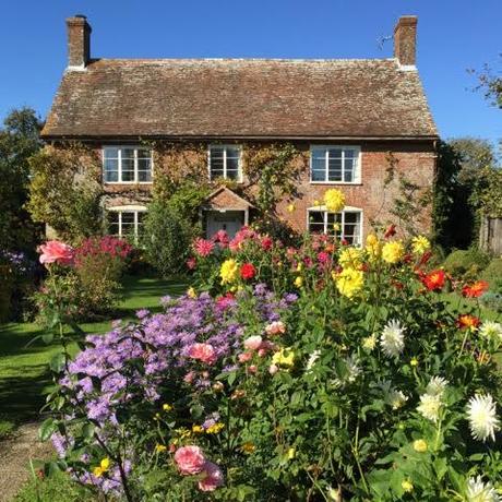 cottage garden dahlias