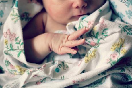 Evangeline Rose: Newborn photos | www.eccentricowl.com