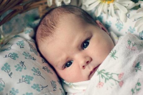 Evangeline Rose: Newborn photos | www.eccentricowl.com