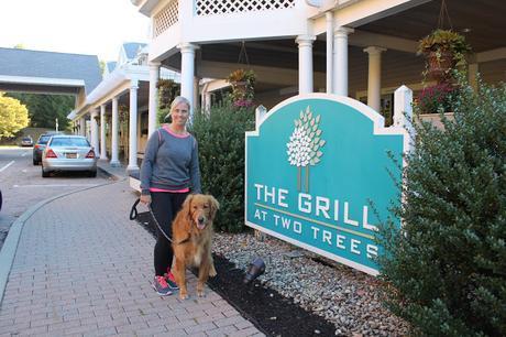 A golden retriever dog visits Foxwoods Two Trees Inn Pet Friendly Hotel