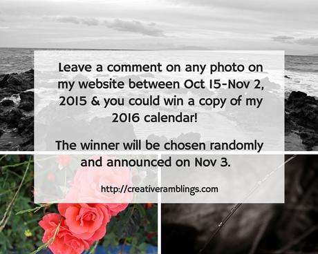Contest: Win a copy of my 2016 calendar