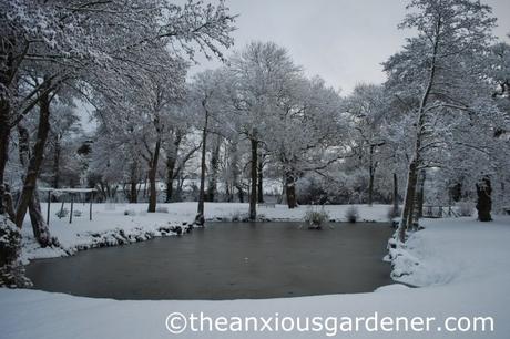 Frozen East Pond