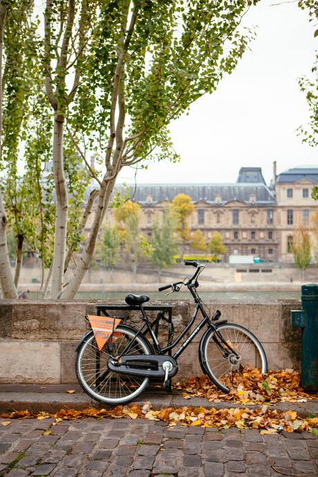 Paris in the Fall