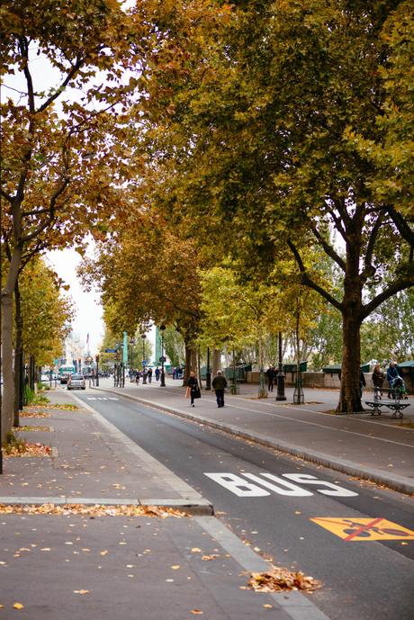 Paris in the Fall