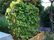 Runners Have Finished