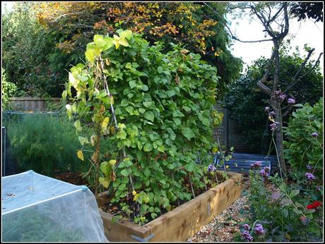 The Runners have finished