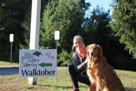 hiking with your dog at Pequot Trails Lantern Hill #walktober