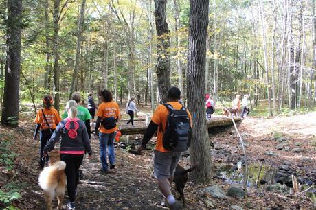 Group of dog lovers hiking the Pequot Trails Lantern Hill Summit #Walktober The Last Green Valley