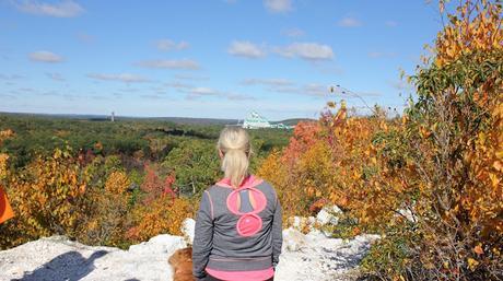 Hiking the Pequot Trails with your dog Lantern Hill Summit #walktober