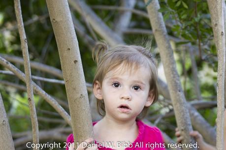 Leia playing in the trees.