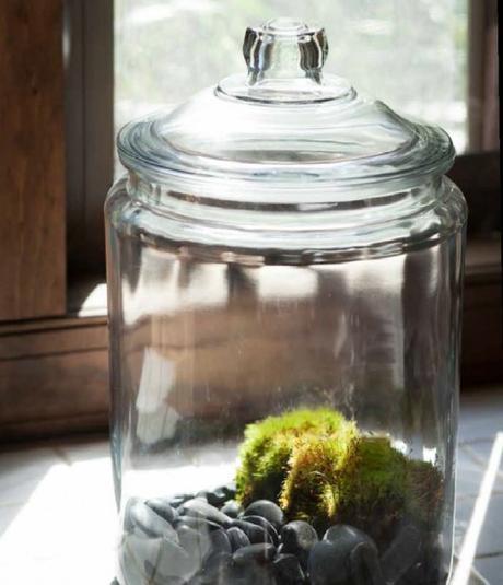 'Terrariums: Gardens Under Glass'- a great book full of ideas and inspiration for creating your own terrariums.