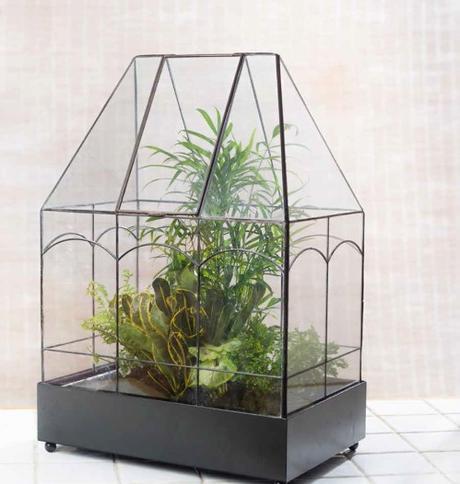 I always think of terrariums as being the traditional Victorian style Wardian cases but almost any glass container can be used – who would have thought of using a cookie jar, or a fish bowl? There are desert style gardens, tropical gardens and water gardens, all in miniature and so many ideas to try.