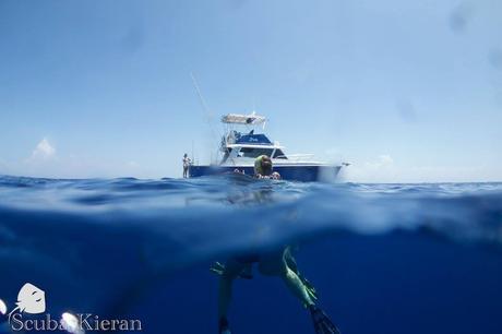 Why I Don't Want to Tell You About Diving the Seamounts