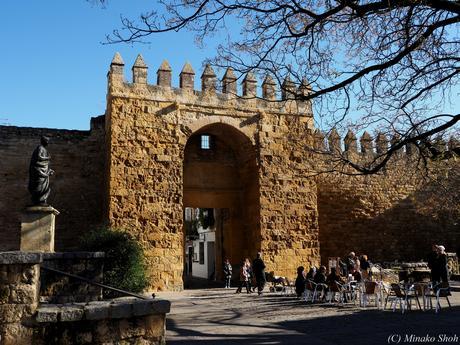 copyrightfullPC290111