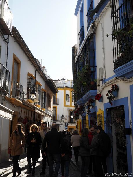 copyrightfullPC290243