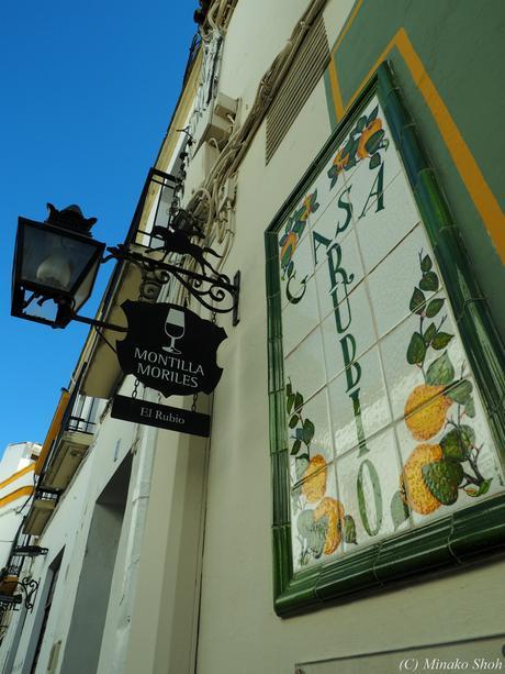 copyrightfullPC290124