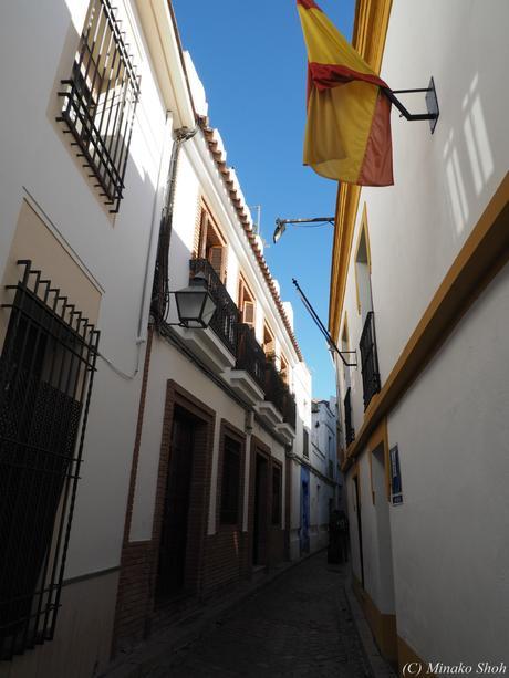 copyrightfullPC290153